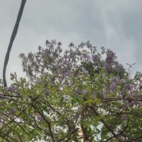 Hưng +Dương