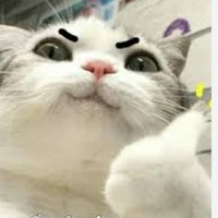 ai là người ấy