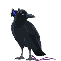 Kaya