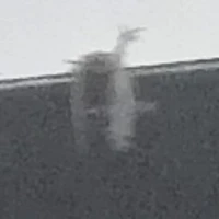 đa đang, mọi người