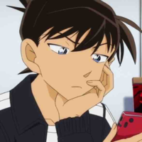 Kudo Shinichi 