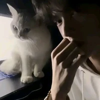 ddwcs.anh_ | cg