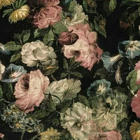 nvp không đáng kể