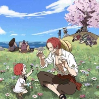 Băng hải tặc Tóc Đỏ