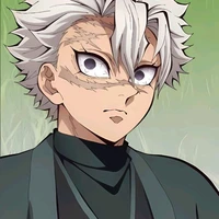 Shinazugawa Sanemi