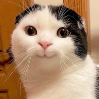 Con Quĩ Toàn Năng