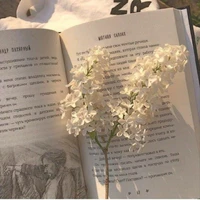 nhân vật phụ