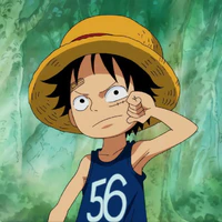 Monkey D. Luffy [ 7 tuổi ]