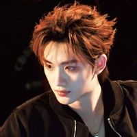 Đinh Trình Hâm