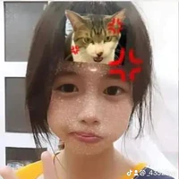 Tác giả khùm