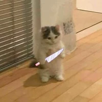 kon t/g xàm lon