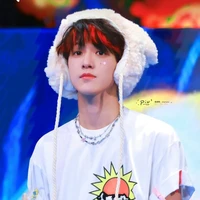 Trương Trạch Vũ