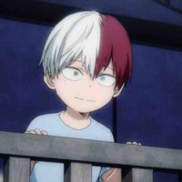 Shoto Todoroki 