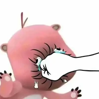 Tác giả ( Thuỳ Linh)