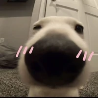 nhóm các cậu