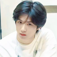 Lưu Diệu Văn