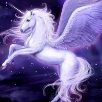 Twilight