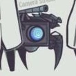 spider cam