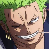 Zoronoa zoro