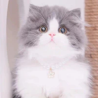 bé t/g cute 