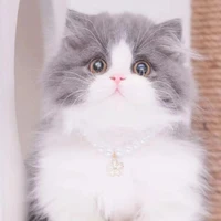 bé t/g cute 