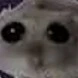 all