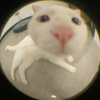 t/g Đáng êuu