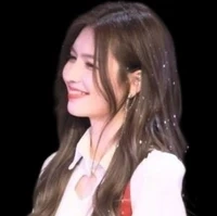 diệp thư kỳ