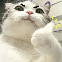 nhỏ tác giả
