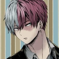 Todoroki Shouto