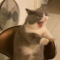 Con Quĩ Toàn Năng