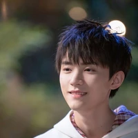 Ngải Giai (YQCB_AICO)