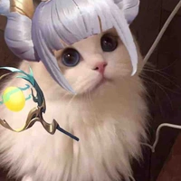 T/g Zyy nek :3