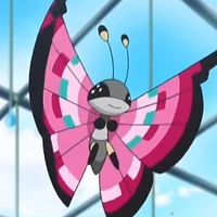 vivivon(Viola)