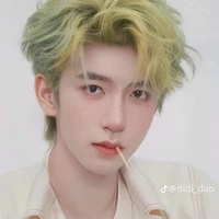 Hạ Tuấn Lâm