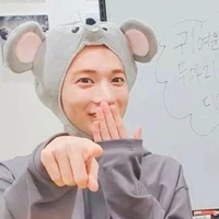 chip chiu chiu🦊🌻