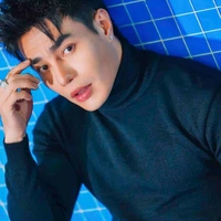 Lê Dương Bảo Lâm 
