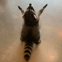 All (Trừ những người cần trừ)