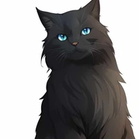 Hệ thống 907 (Leo)