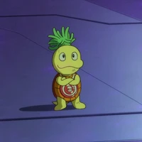 Mozzo