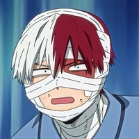 Todoroki Shoto-Shoto