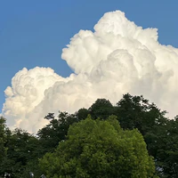 Các Hộ Vệ Của TOP