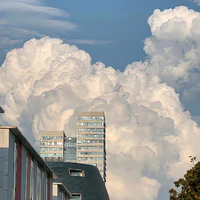 Năm Hộ Vệ Của Cậu