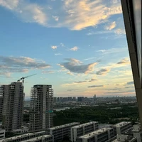 All/Các Hộ Vệ/TOP(-Cậu)