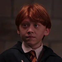 Ron Weasly🍗
