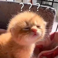 tác giả nè
