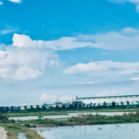 Từ Mãn