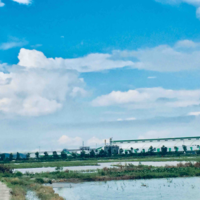 Từ Mãn
