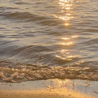 Sunny/Sun (T/g)