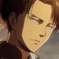 Levi